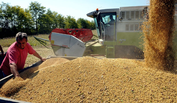 Српску соју тражи свет